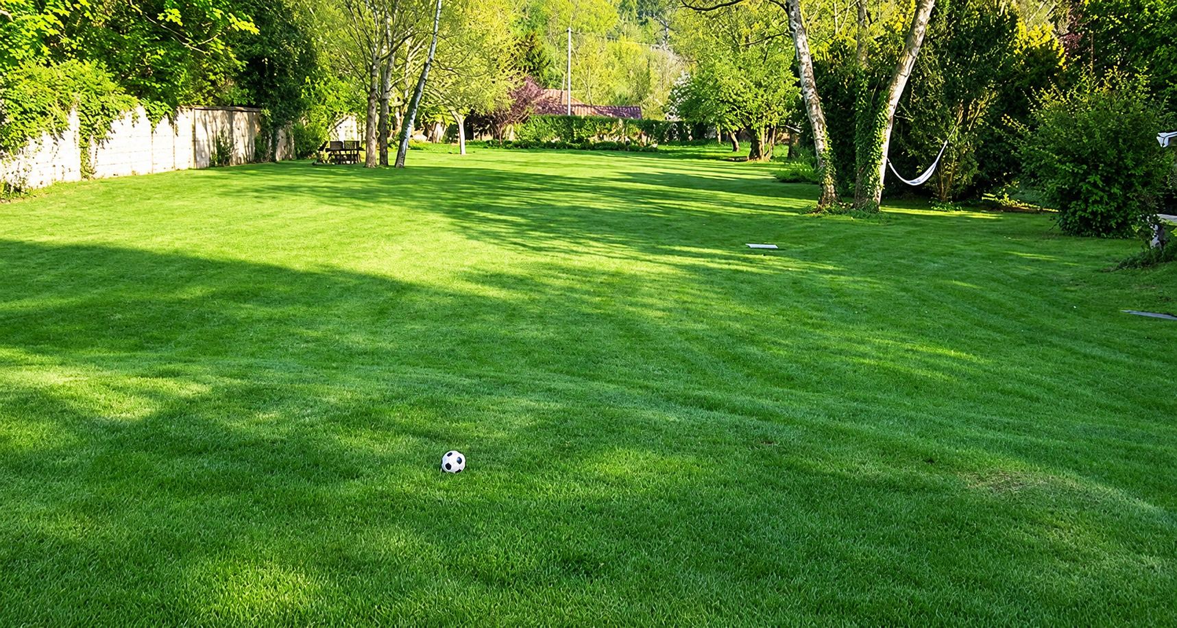 Une vaste pelouse verte bien tondue bordée d'arbres et d'un mur de pierre, avec un petit ballon de football au premier plan.